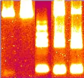faked data 2