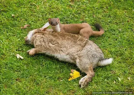 What weasels are capable of doing