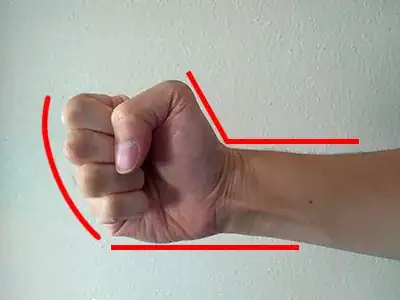 photo of a human fist