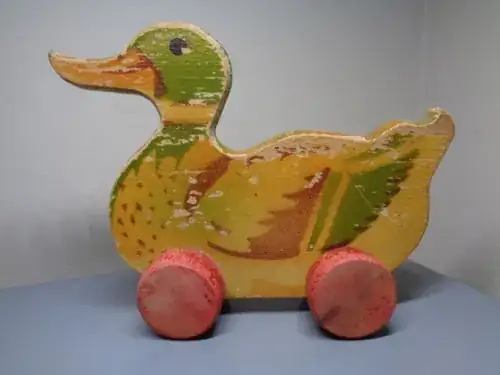 Image of duck
