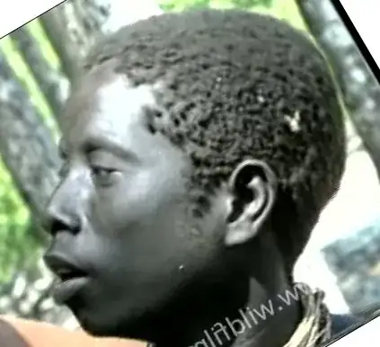 Jarawa man in profile
