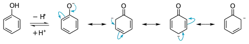Phenoxide resonance forms