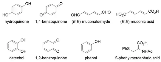 Metabolic products of benzene