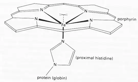 heme