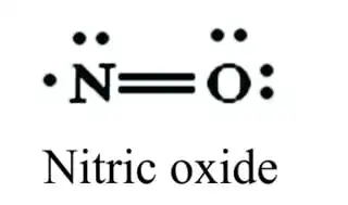 NO molecule