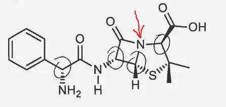 ampicillin