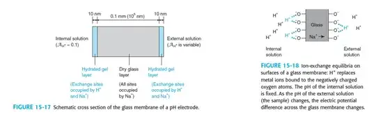 glass membrane
