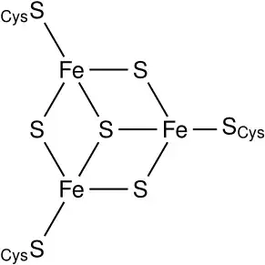 Fe3S4 cluster