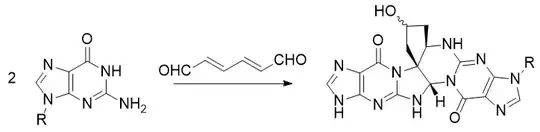 Cross-linking of guanine bases by muconaldehyde