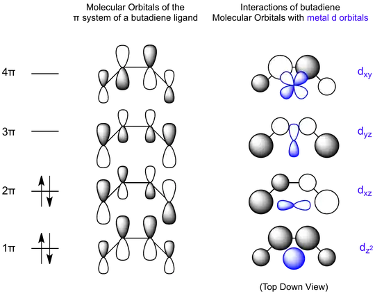 MOs of butadiene