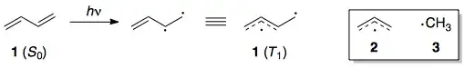 Butadiene T1 state