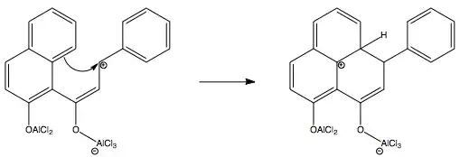 step 5