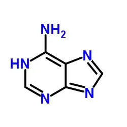 adenine