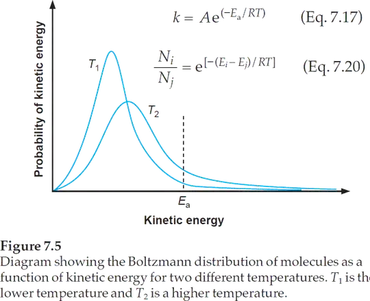 The number of molecules that have sufficient energy to do the reaction, can be calculated via the Boltzmann distribution.