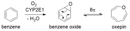 Initial oxidation of benzene