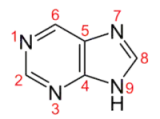 9H-purine