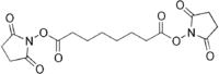 Disuccinimidyl suberate
