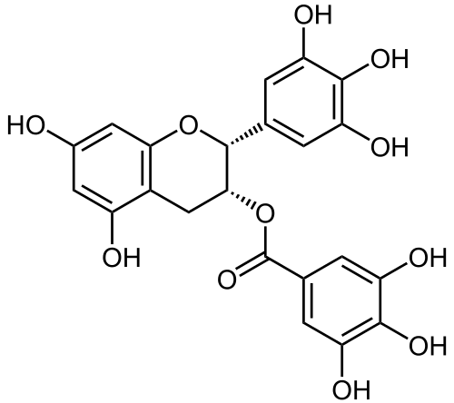 EGCC structure