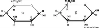 Glucose