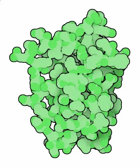 Leptin
