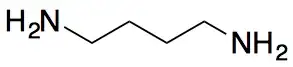 Putrescine