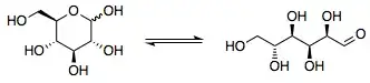 glucose forms