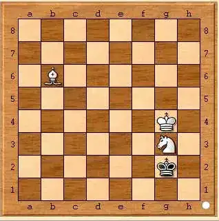 Position