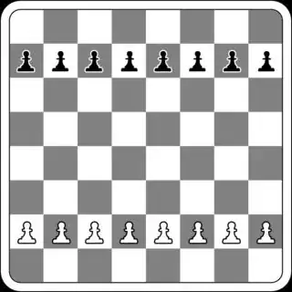 Pawn race