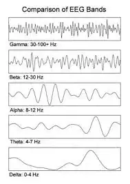 eeg
