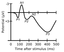 ERP