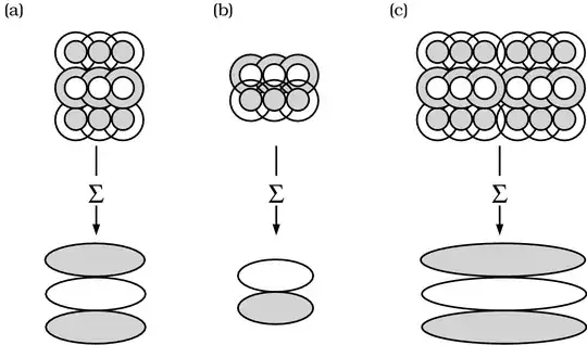 simple cell