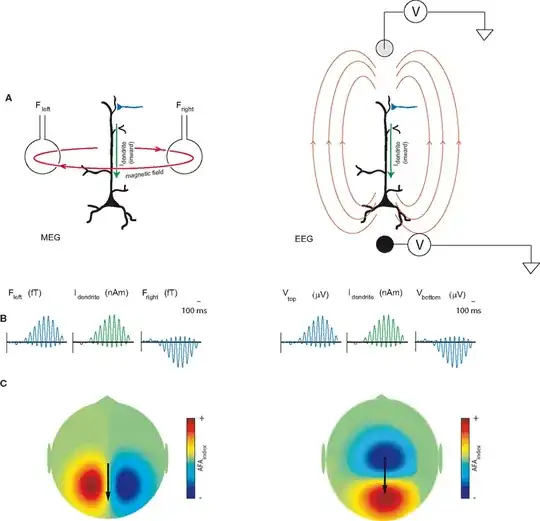 Difference between EEG and MEG