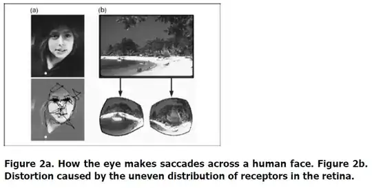 figure 2a 2b