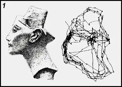 bust eye tracking