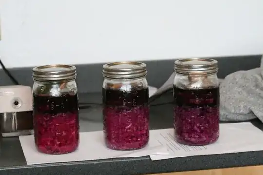 saeurkraut experiment