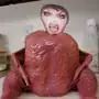 Fuchsia Chicken