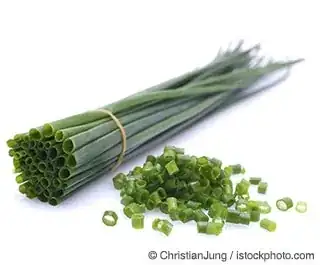 Chive bunch and some chopped chives