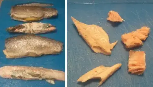 Cooked fish!