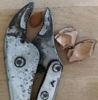 Broken pit, undamaged seed