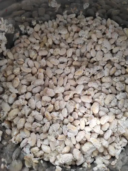 natto