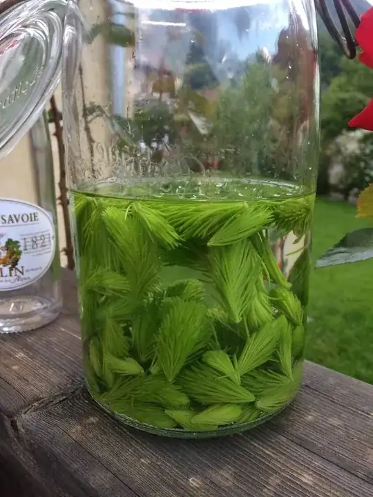 During the fermentation