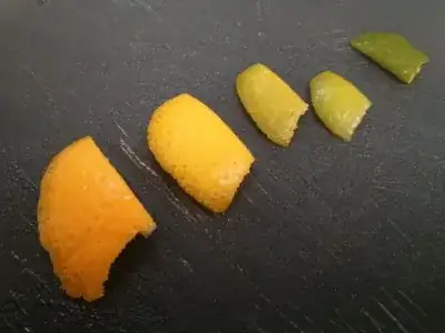 shades of zest