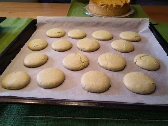 2nd tray of macarons, some torn, otherwise fine, 6 perfect