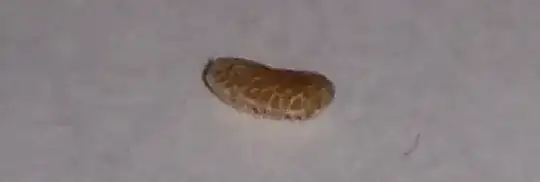 raspberry seed