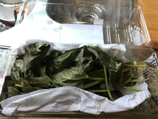 basil gone bad?