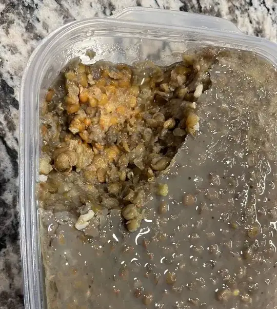 gray lentils