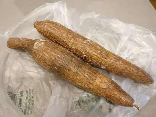 an unknown vegetable