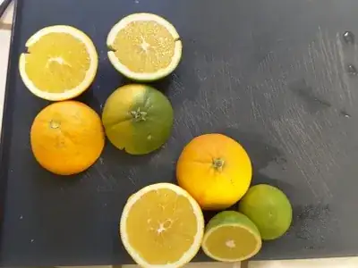 let's look inside