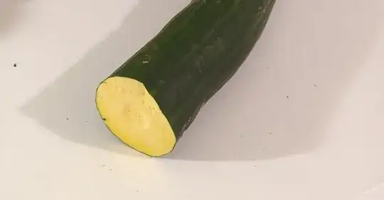 cross-section of squash