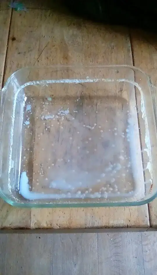 The pan after drinking the milk.